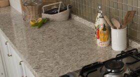 Kompositsten Fossil Nautilus